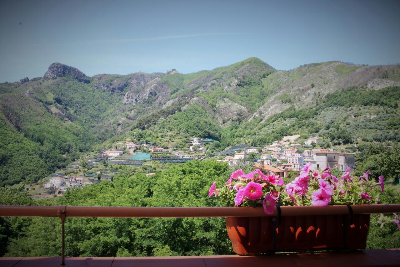 Tra I Monti Bed & Breakfast Tramonti Exterior foto