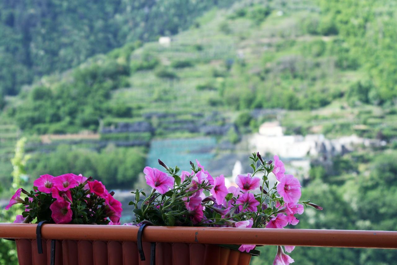 Tra I Monti Bed & Breakfast Tramonti Exterior foto